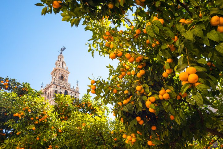 Andalusië