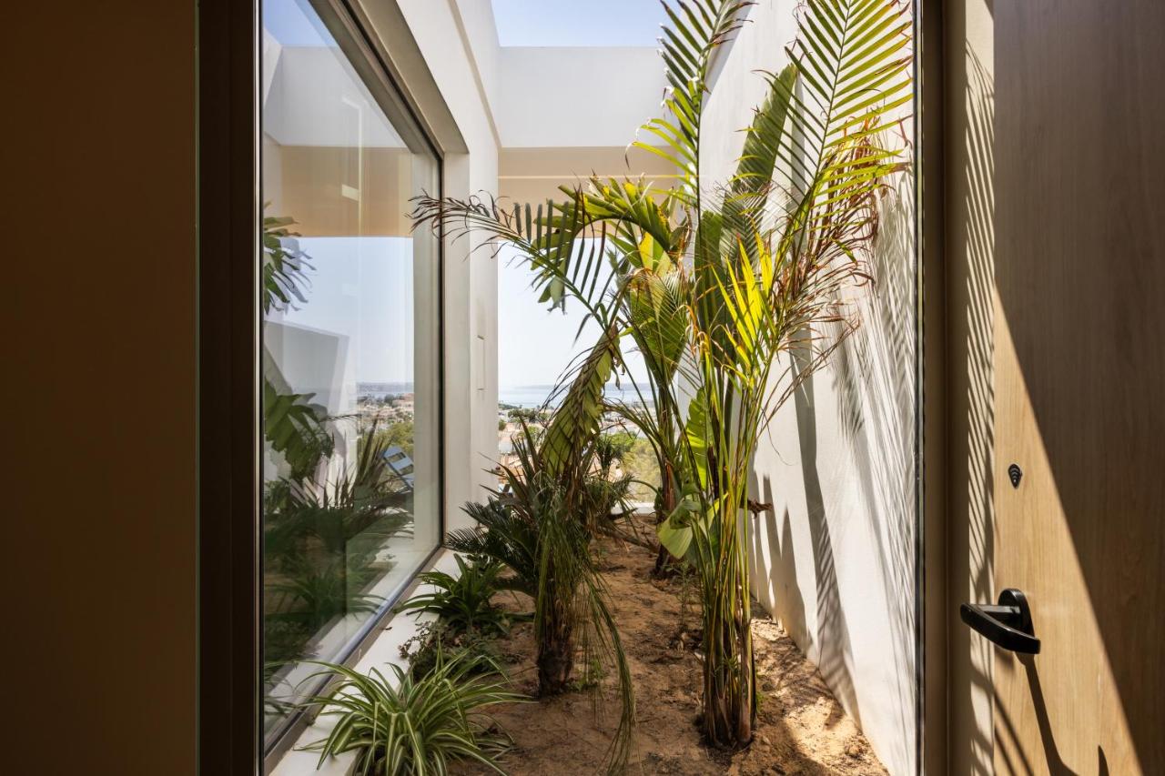 Tropische tuin met palmbomen — ananea Castelo Suites Algarve