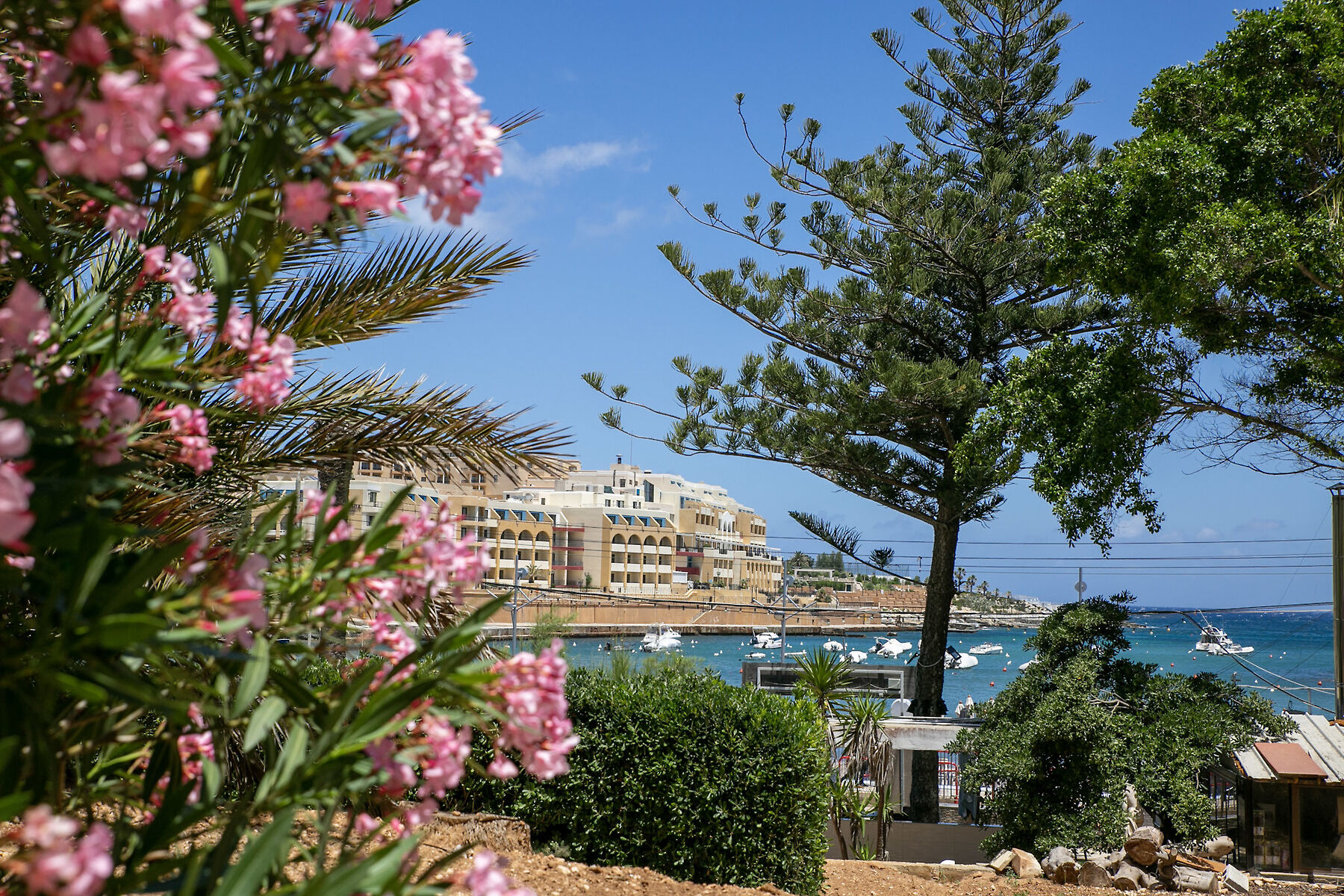 Beach Garden Hotel foto 2