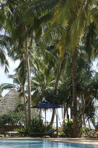 Bluebay Beach Resort and Spa foto 3