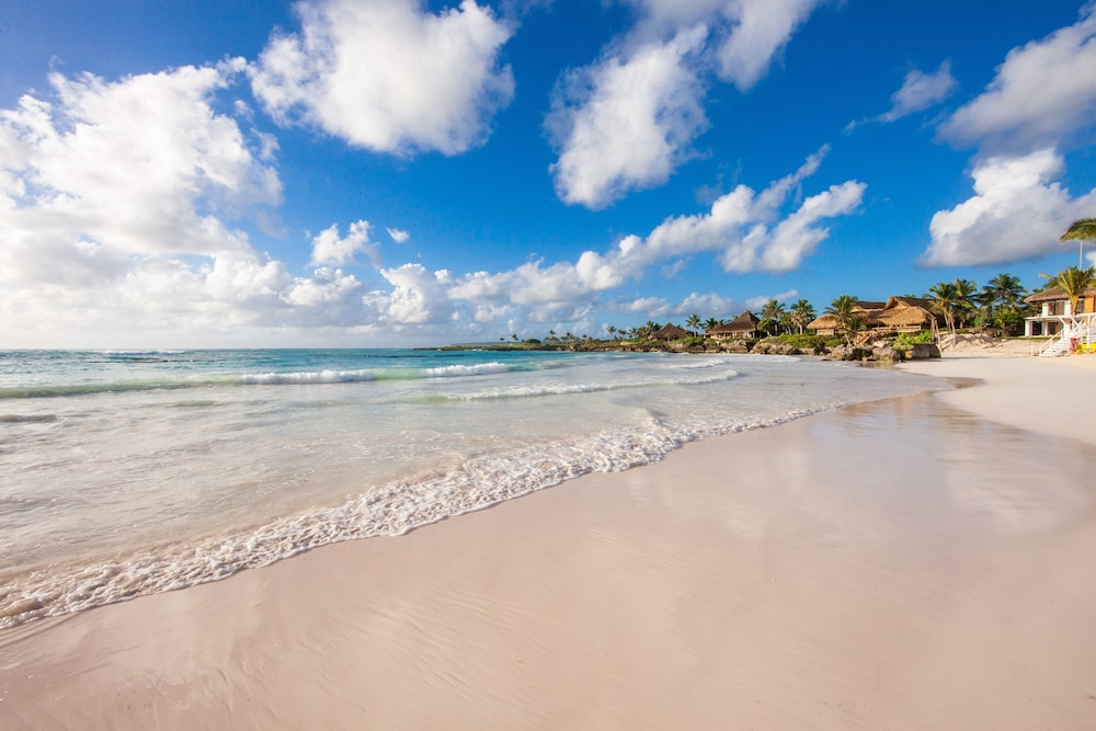 Ingang met palmen van het vijfsterren Eden Roc Cap Cana resort