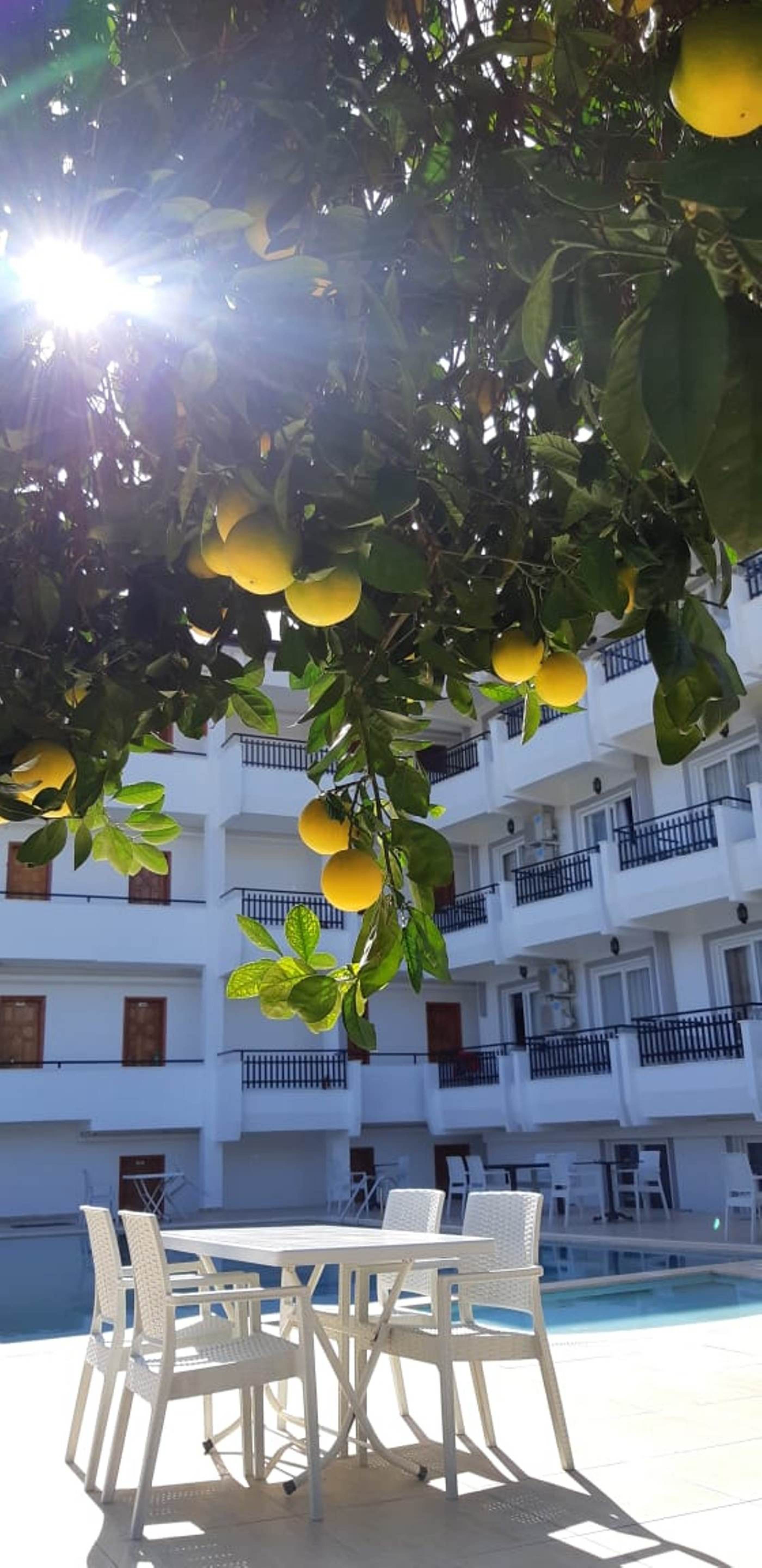 Elijah Hotel foto 3