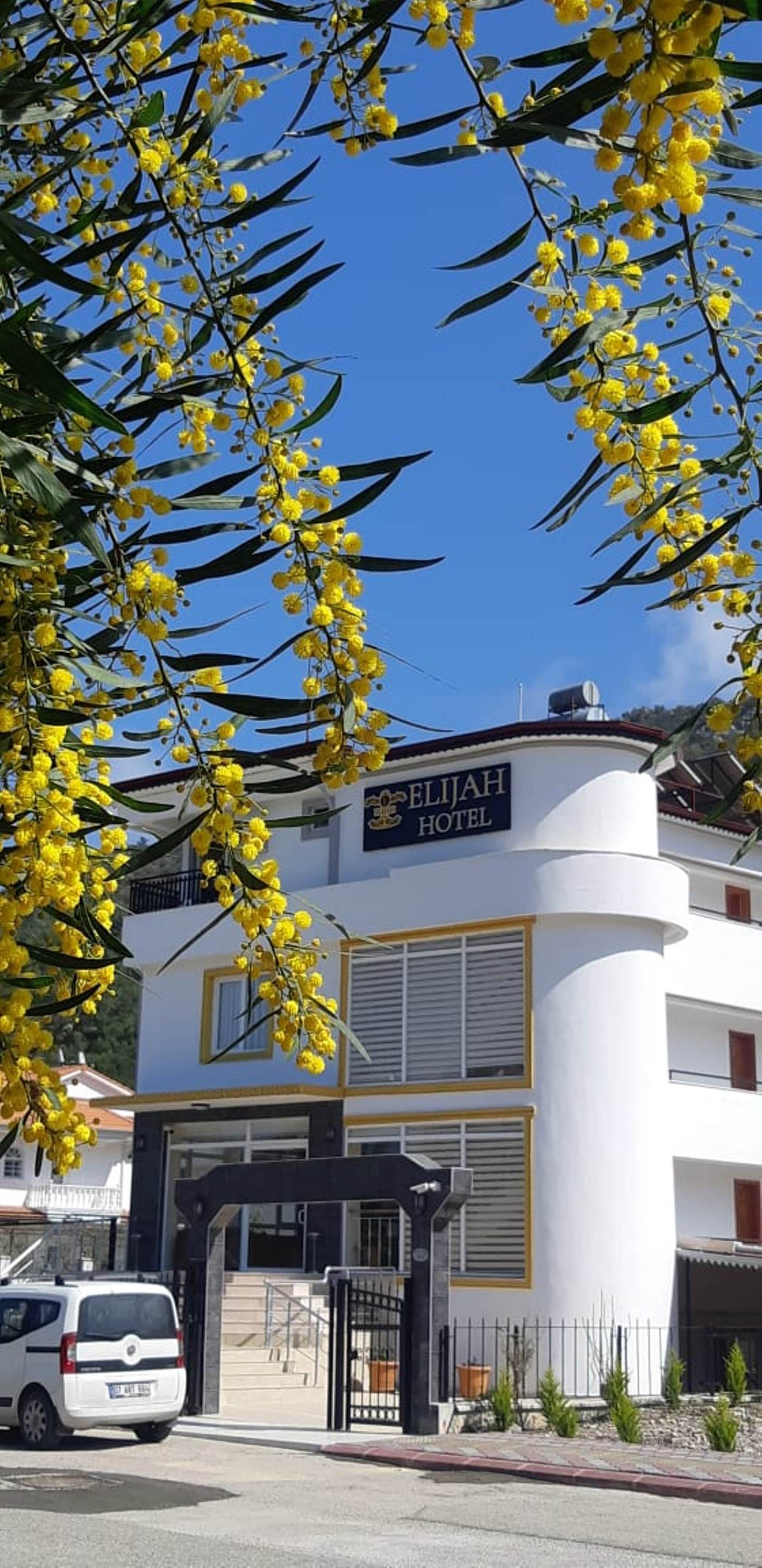Elijah Hotel foto 4