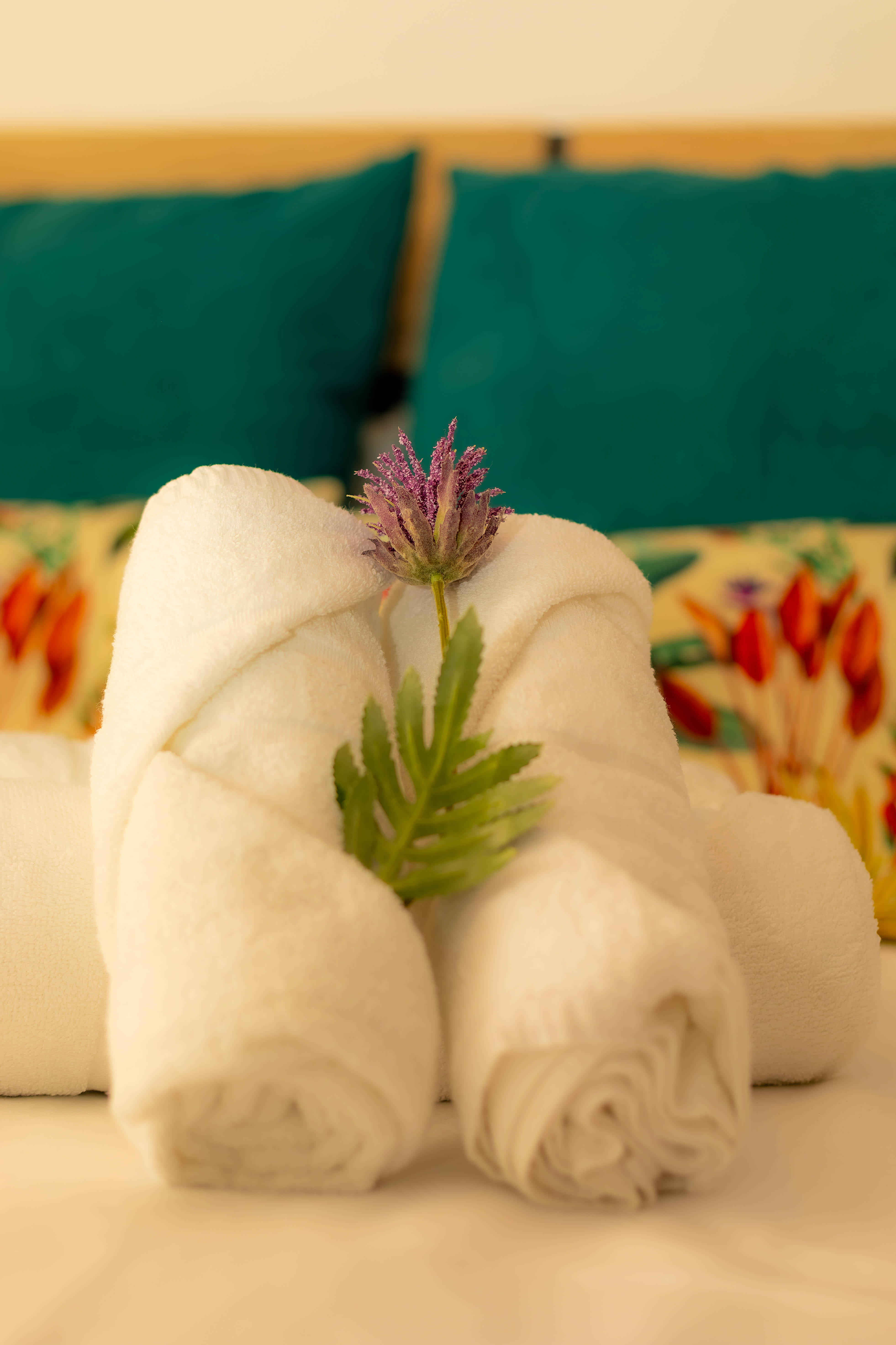 Spa massagekamer — Hostal Ventura Premium