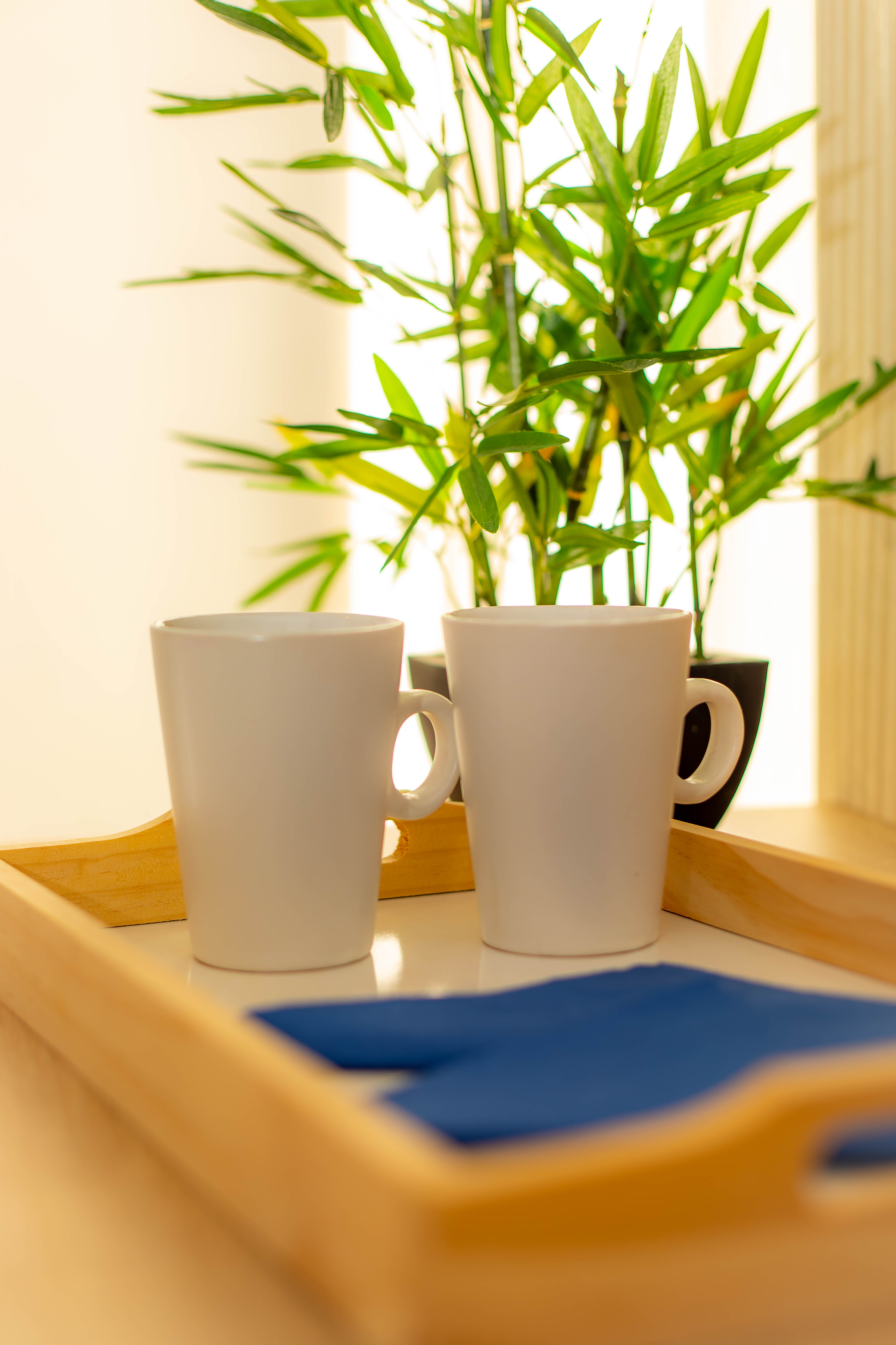 Close-up van bloemstuk — Hostal Ventura Premium