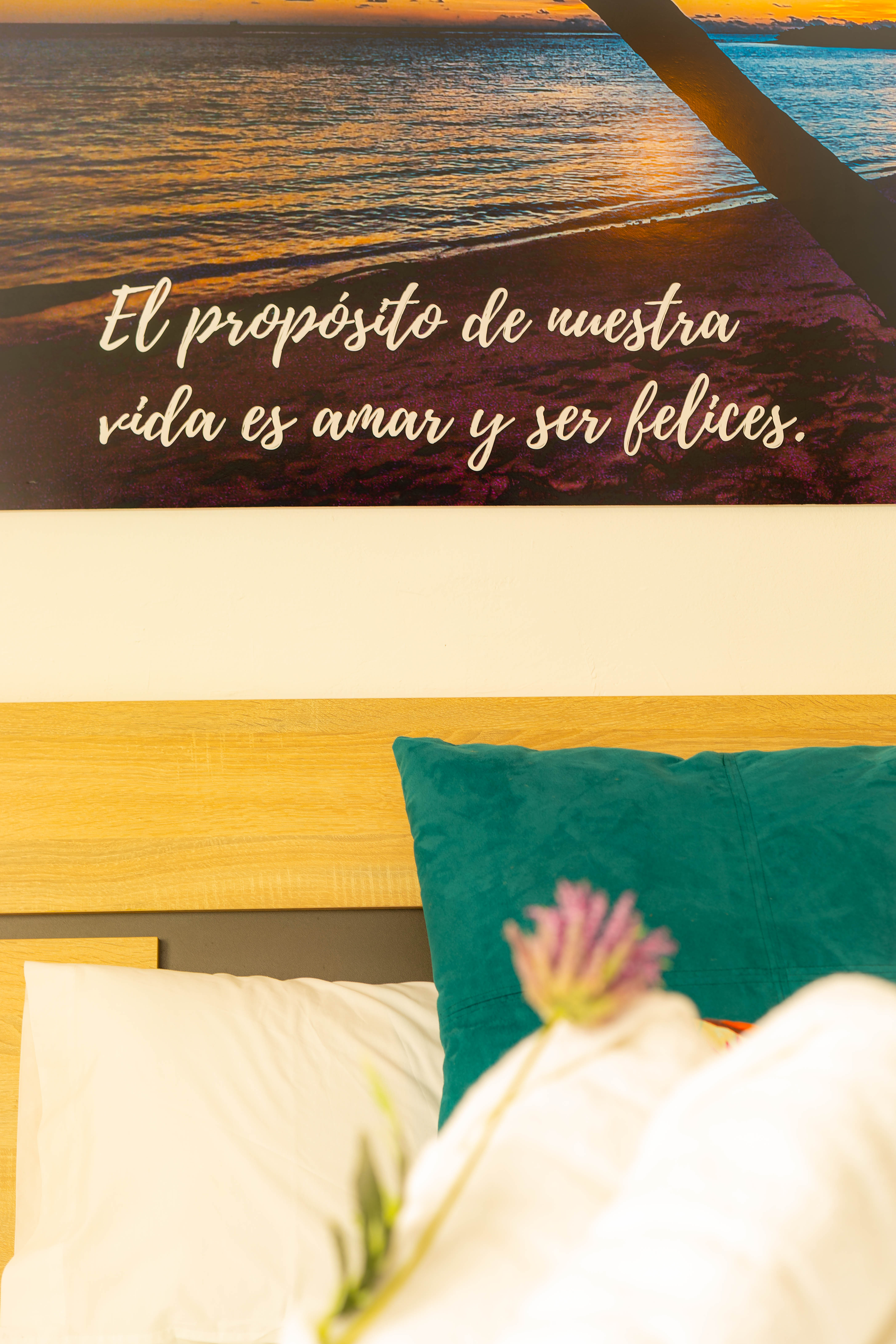 Close-up van bloemstuk — Hostal Ventura Premium