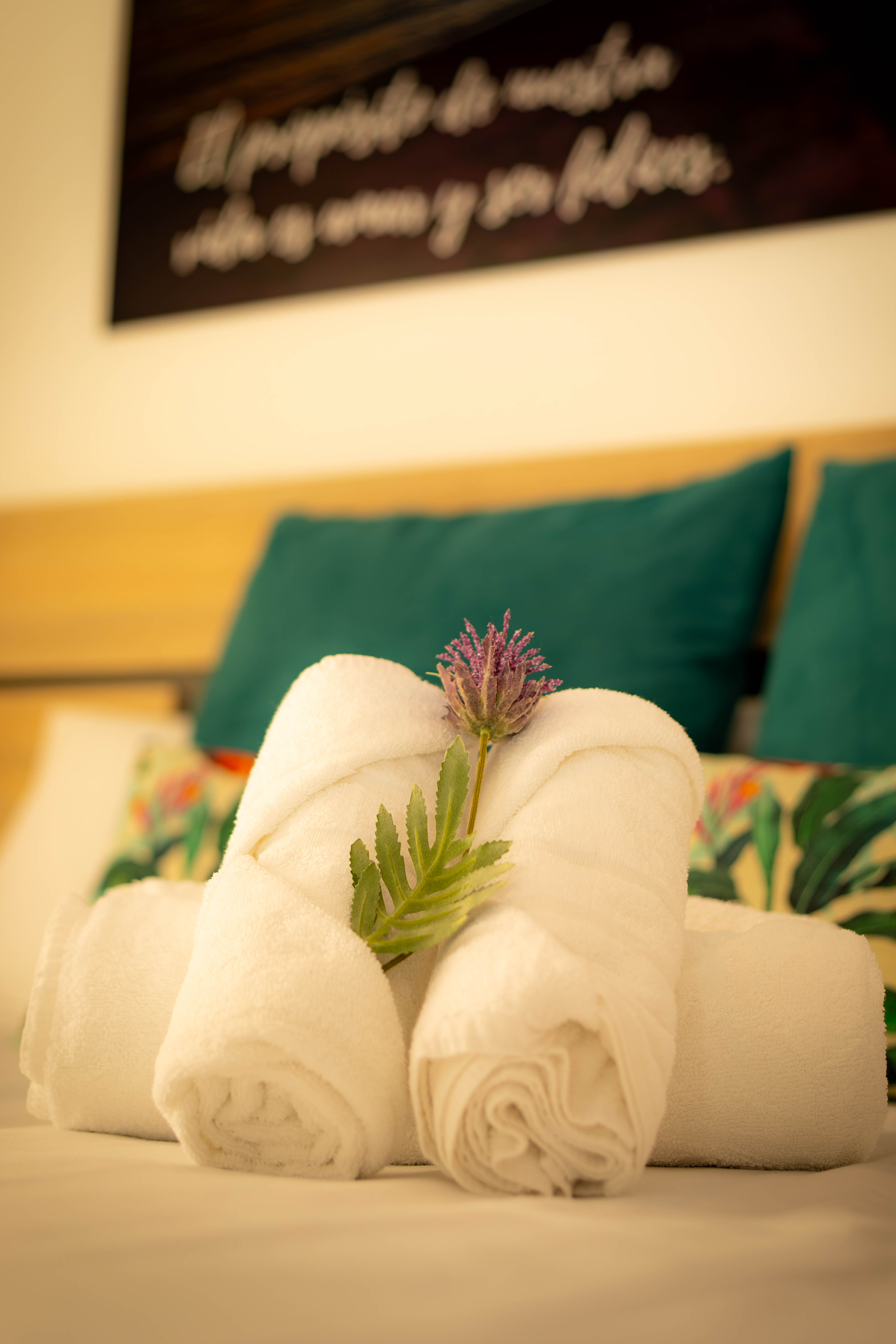 Close-up van bloemstuk — Hostal Ventura Premium