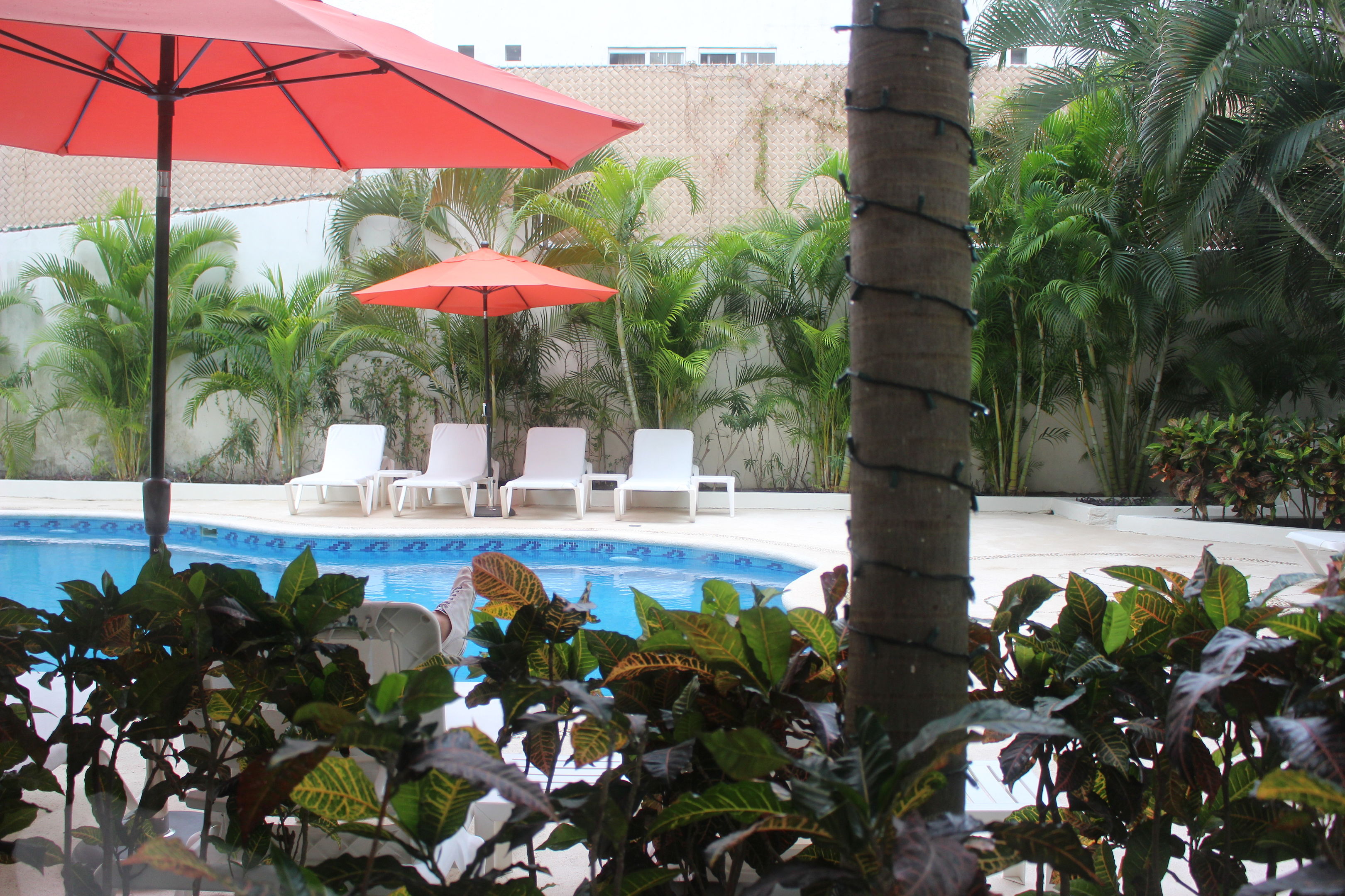 Hotel Adhara Express foto 4