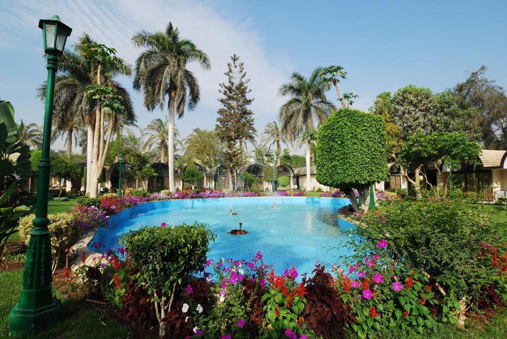 JAZ Pyramids Resort foto 3