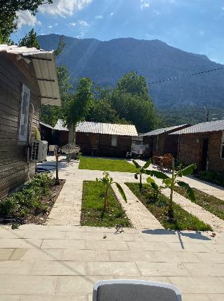Lime Tree Houses foto 3