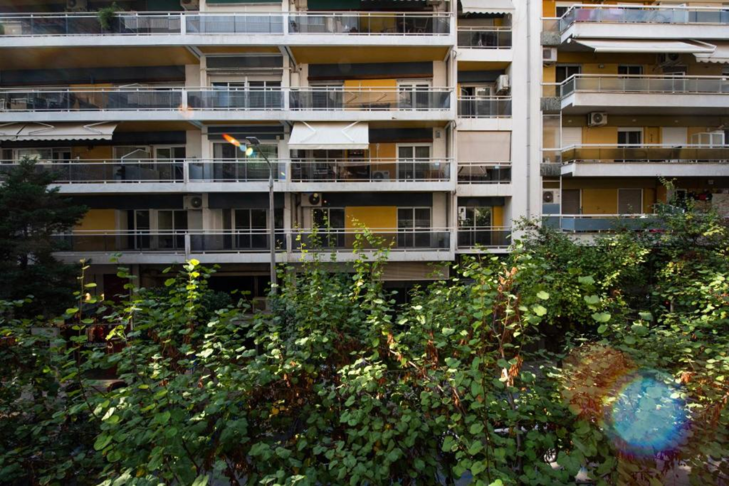 Mandarin Apartments By Halu foto 3