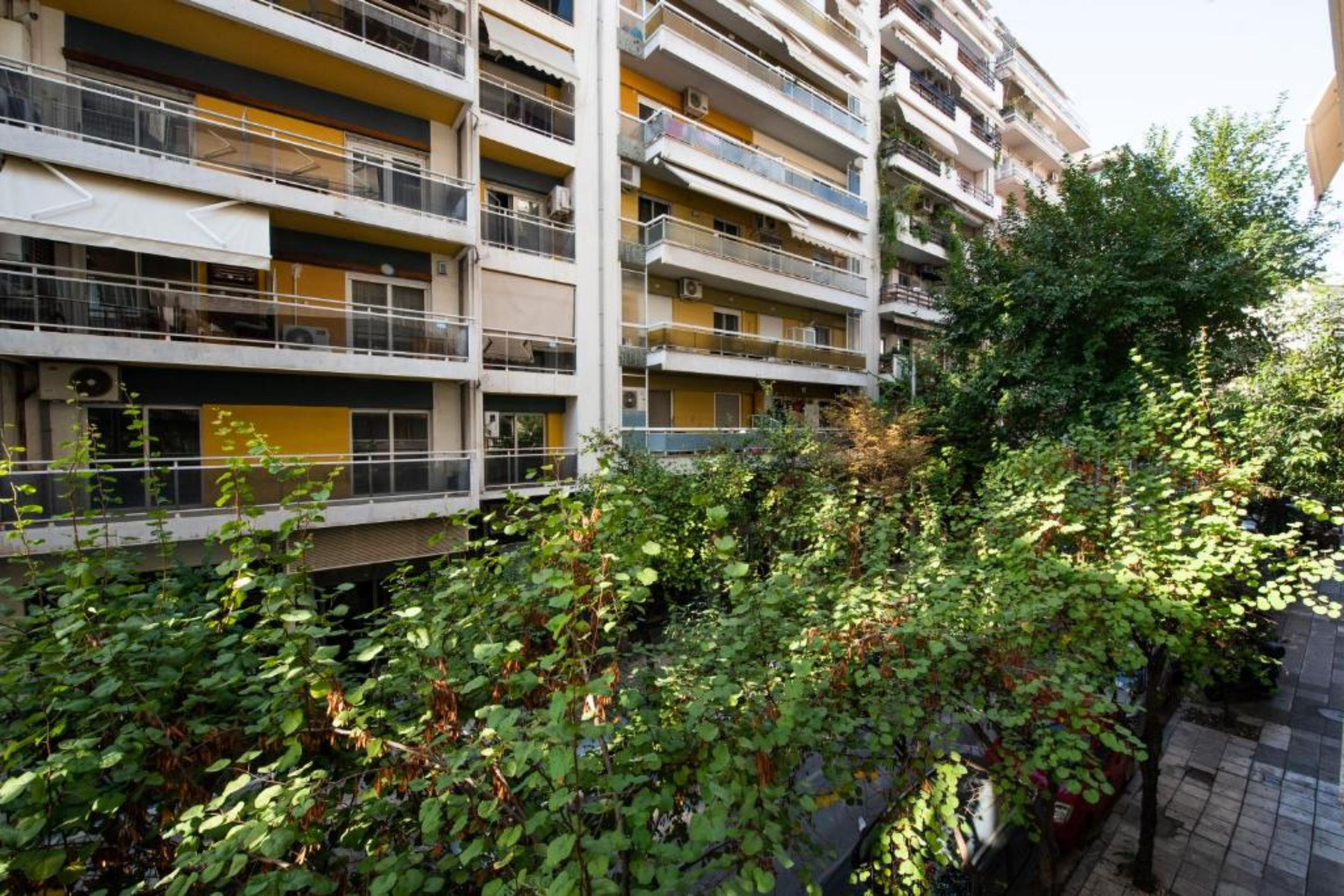 Mandarin Apartments By Halu foto 4