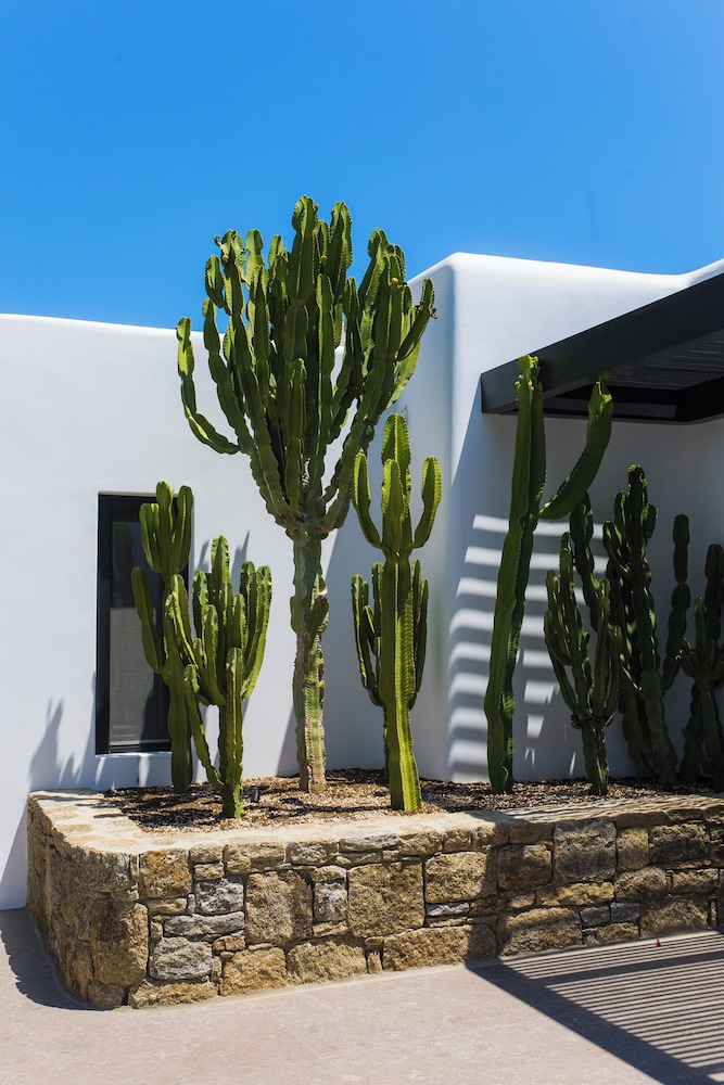 Noima Boutique Hotel Mykonos foto 4