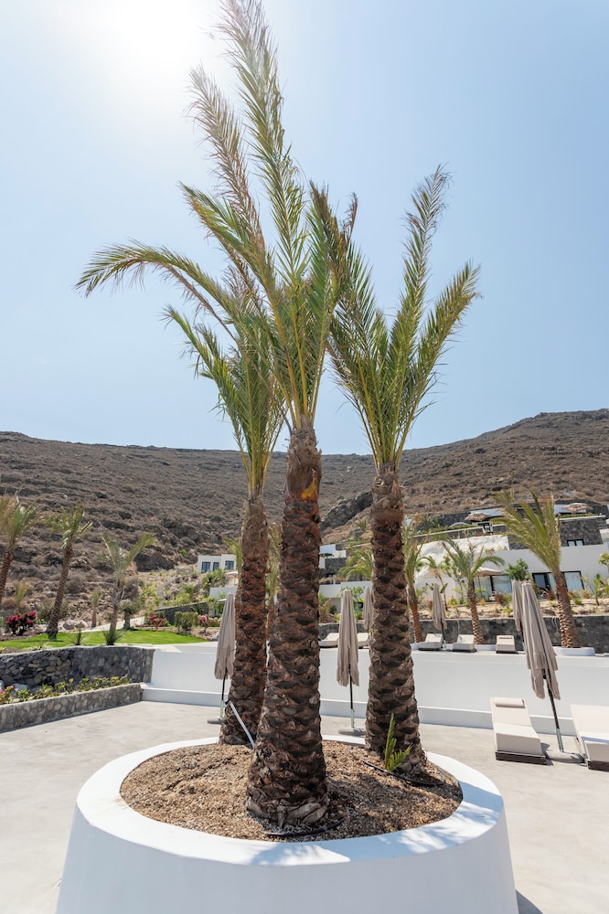 Uitzicht op Palm Island Suites vanaf het strand