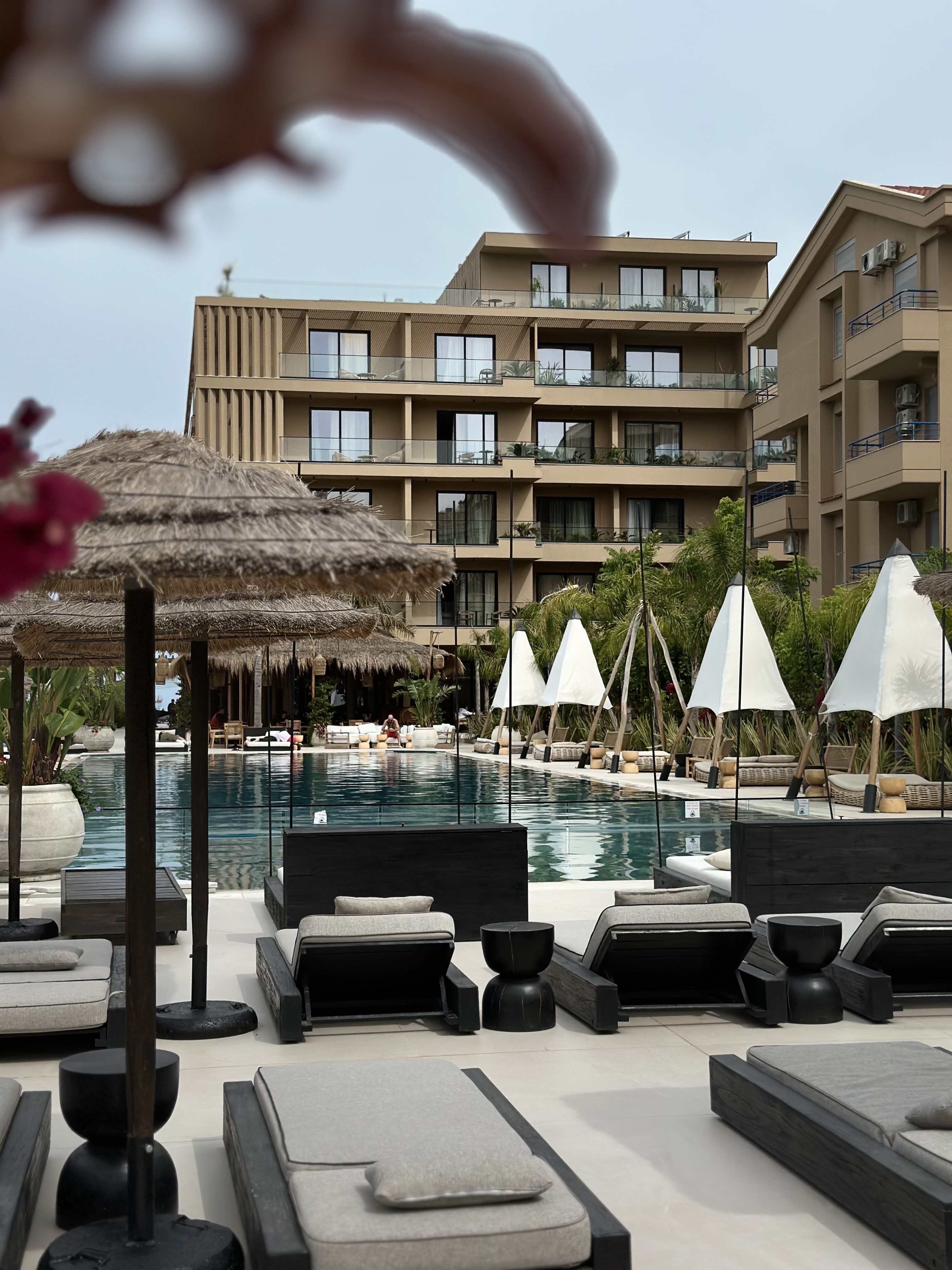 Regina Palm Hotel foto 4