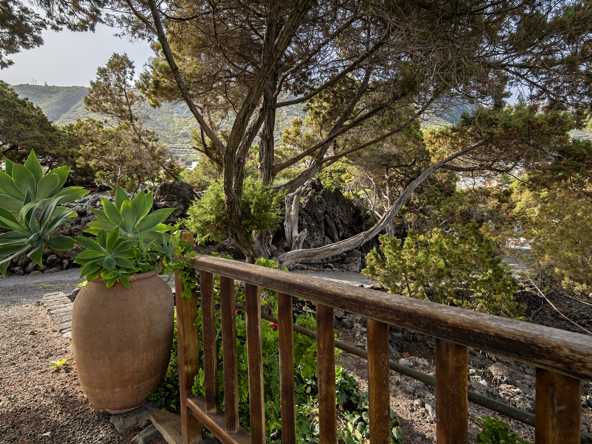 Panoramisch bergzicht — Sabinas & Terrazas Malpaís