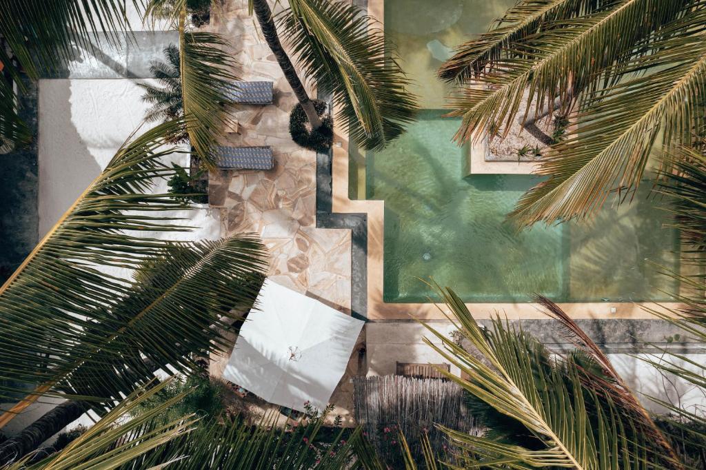 Sahari Zanzibar foto 3