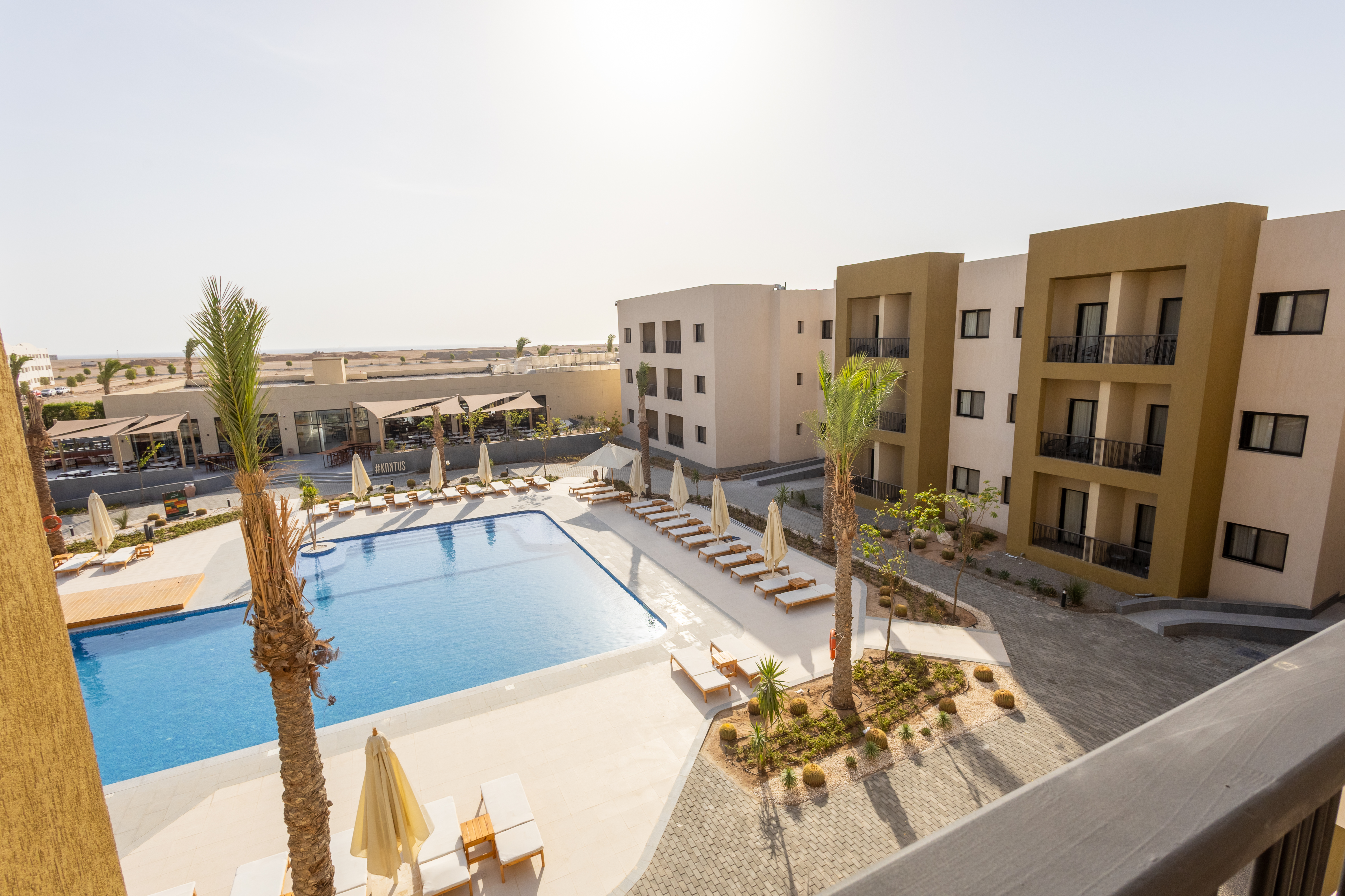 Zwembad omringd door palmbomen — The Kaktus Somabay