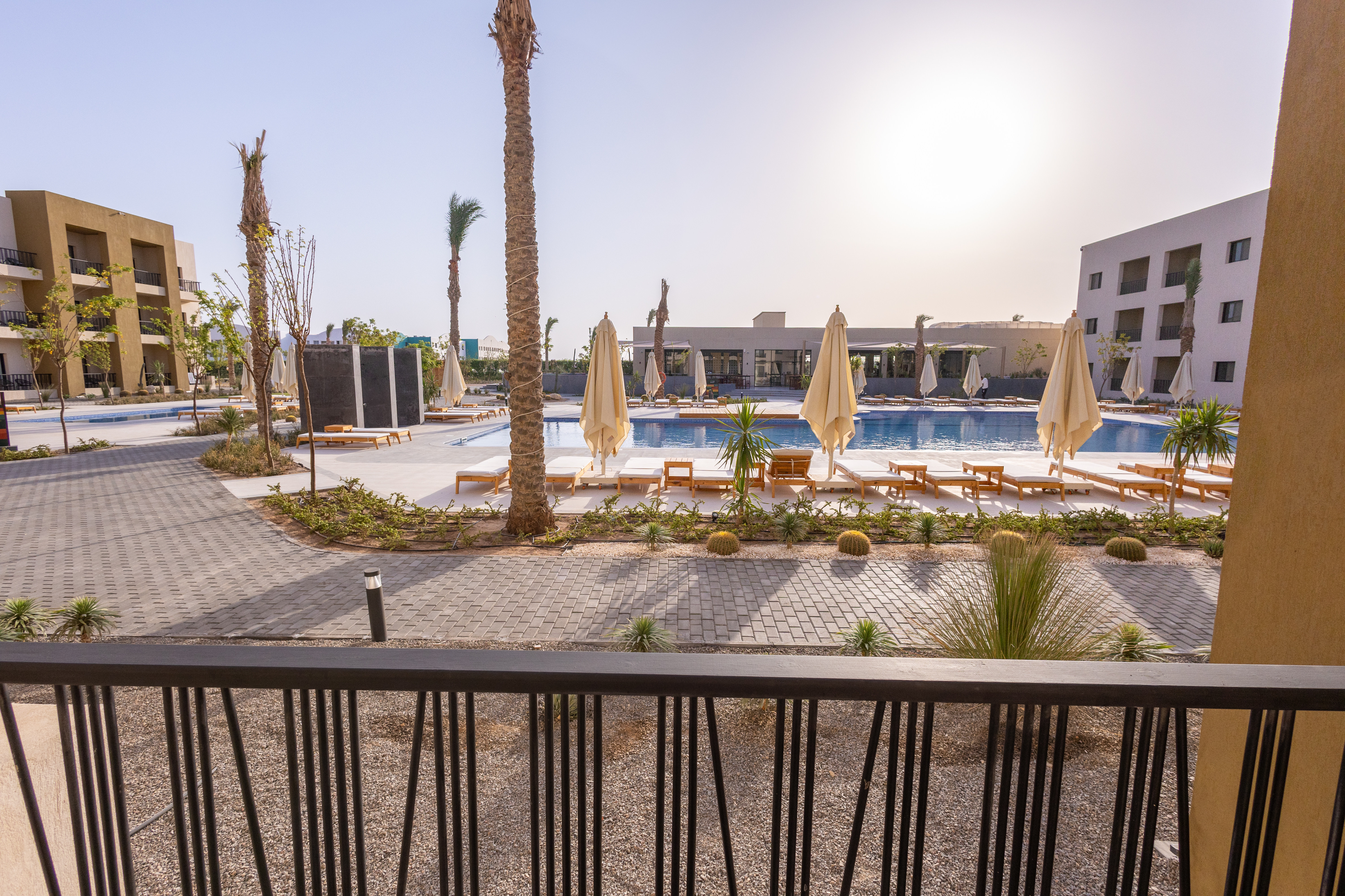 Zwembad omringd door palmbomen — The Kaktus Somabay