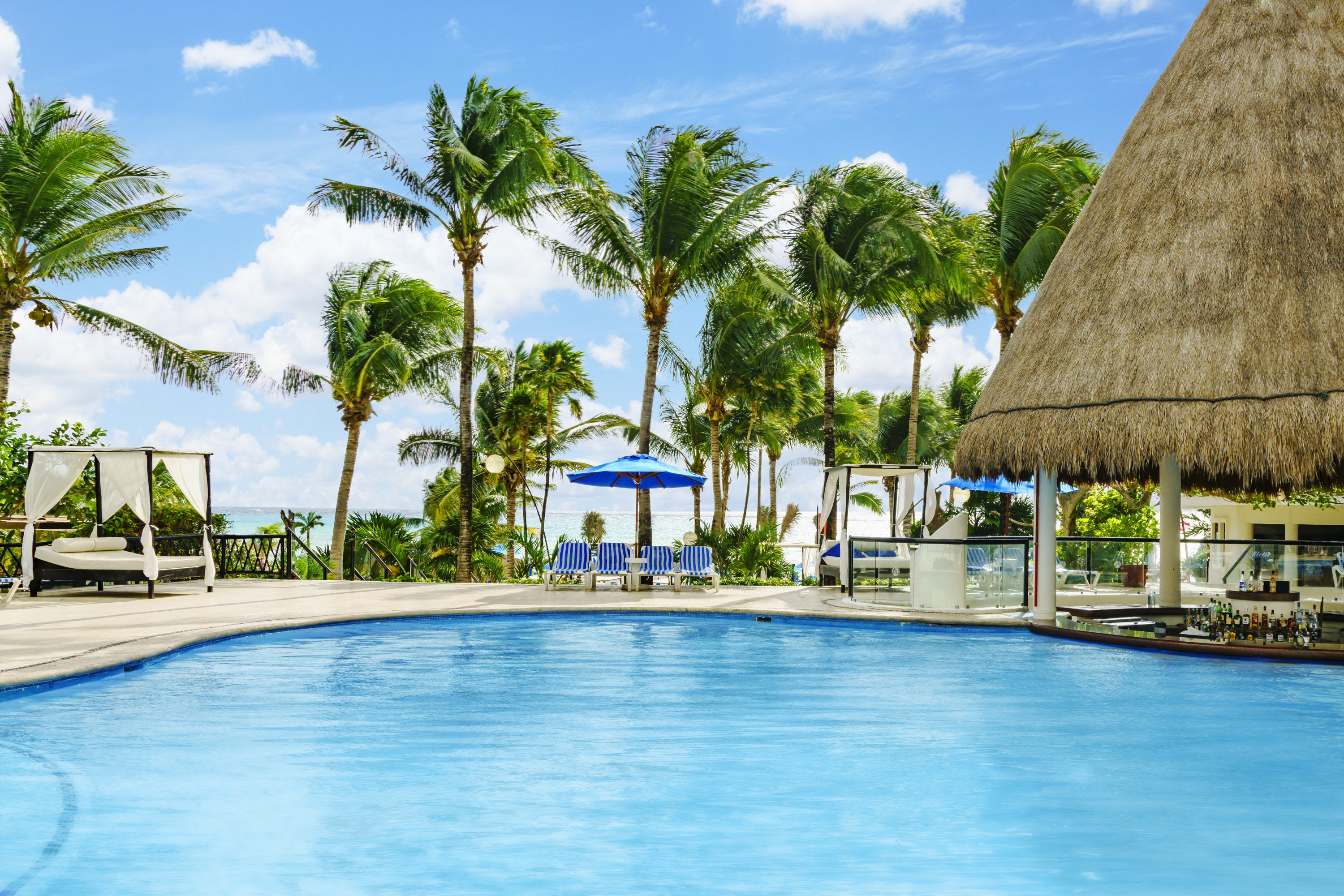The Reef Playacar Beach Resort & Spa foto 3