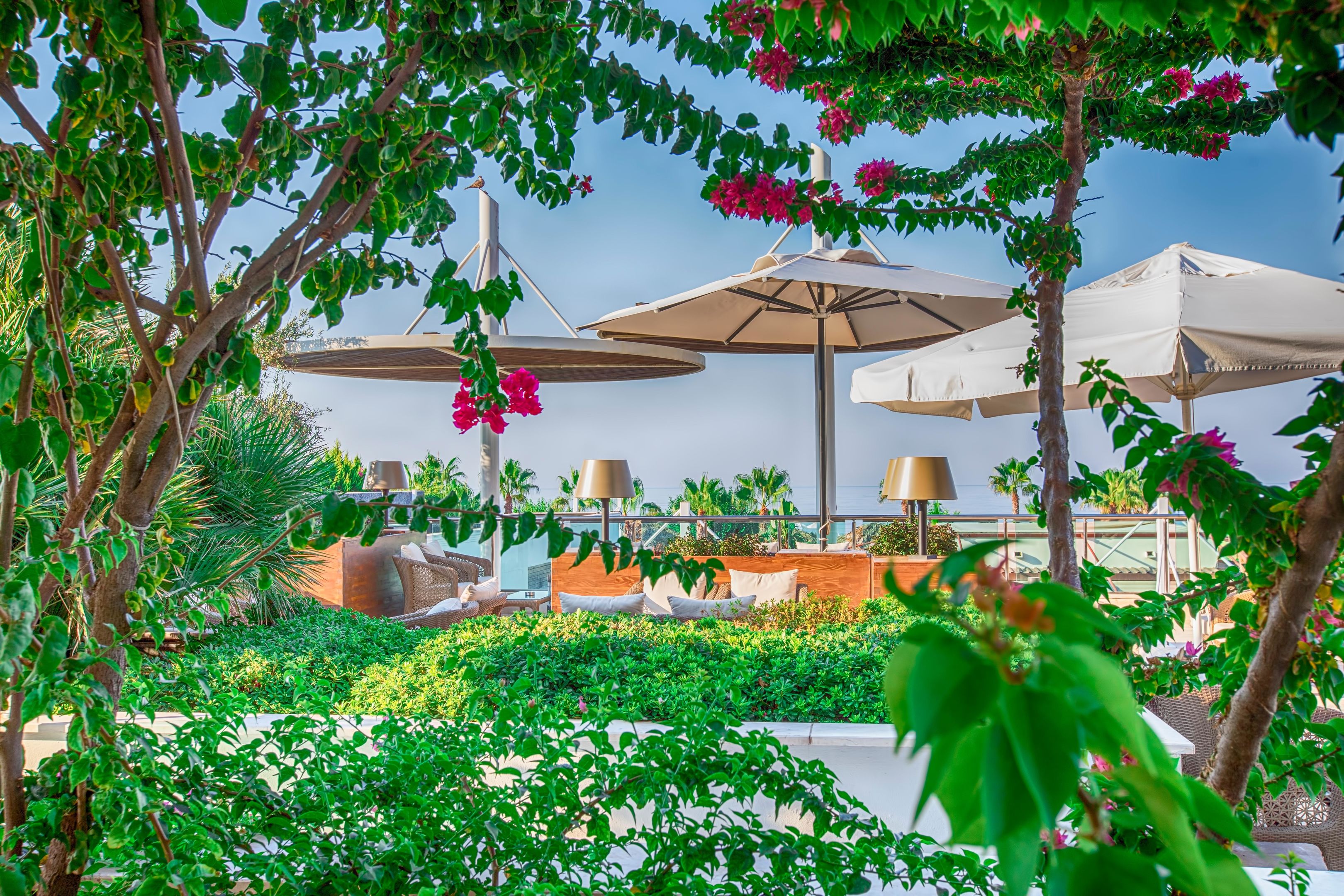 TUI BLUE Belek foto 2
