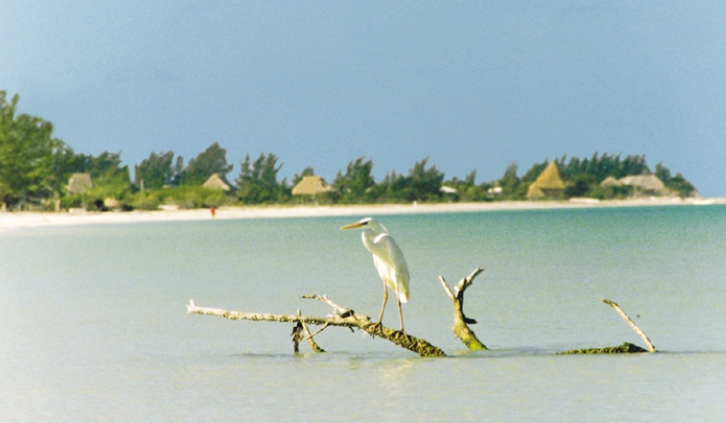 Villas Flamingos foto 3